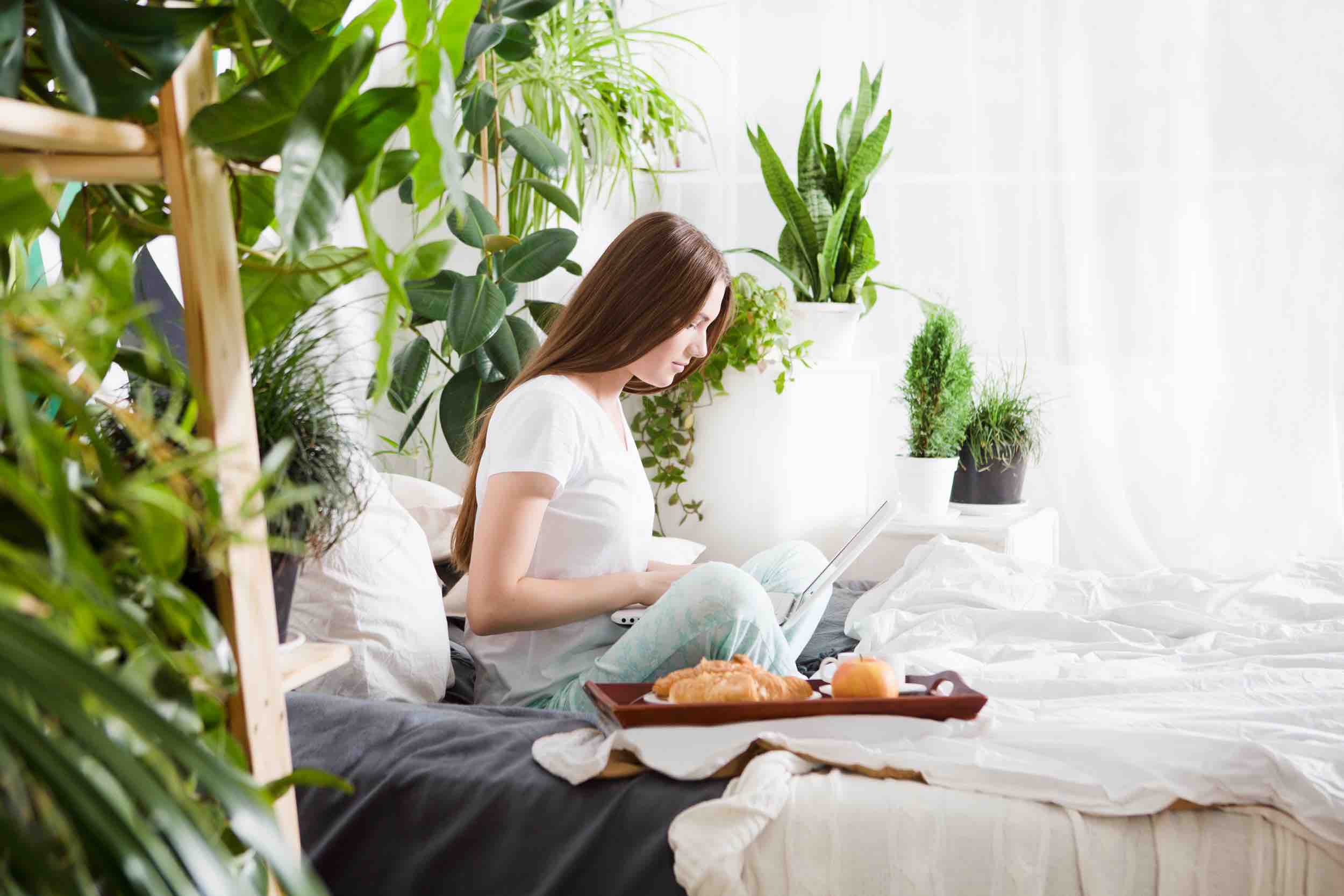 Adobestock 176700031 2